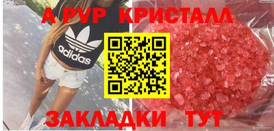 стафф Новозыбков