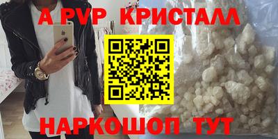 стафф Новозыбков