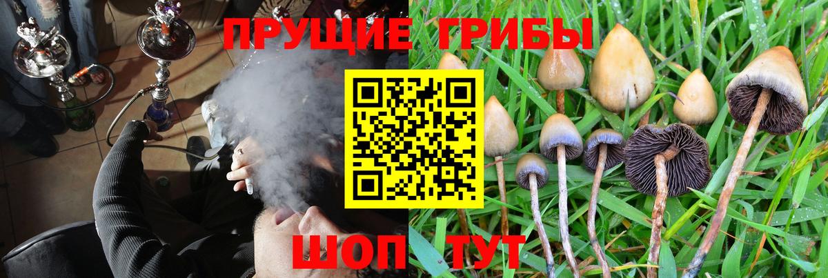 Псилоцибиновые грибы мицелий  Псилоцибиновые грибы MAGIC MUSHROOMS  Вход с VPN  Сыктывкар 